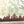 SKYLINE DE JERUSALEM