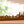 MEXICO SKYLINE SOUVENIR